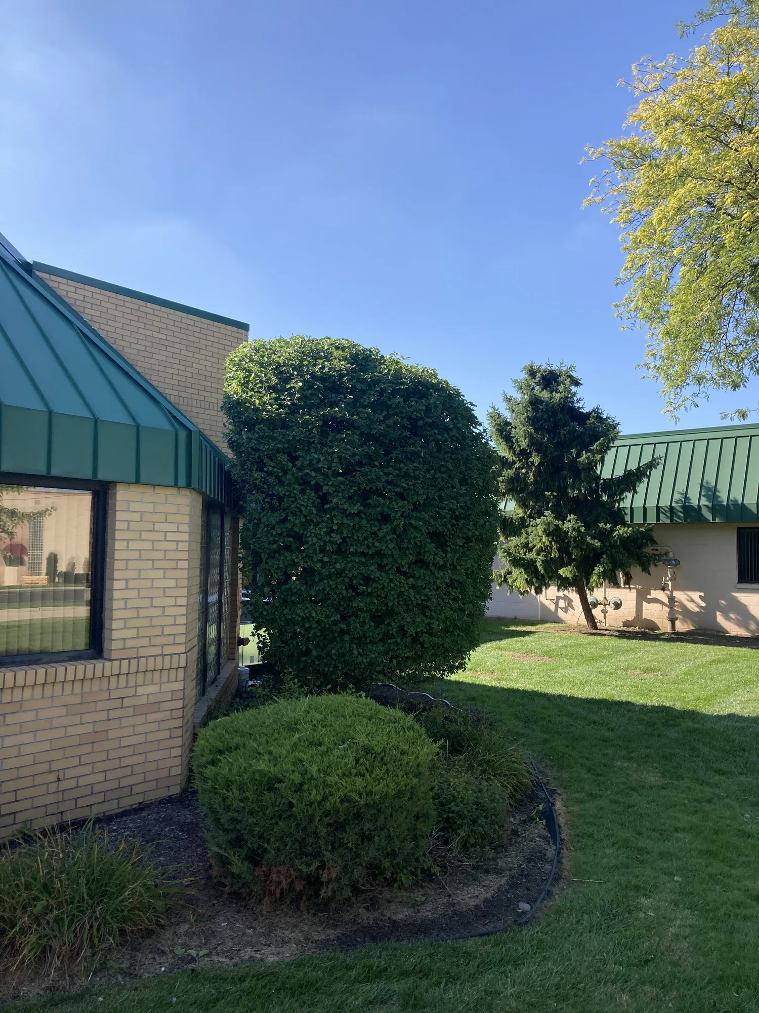Ornamental Tree, Shrub & Bush Pruning in Greater Toledo / Sylvania Region, OH & MI by Kerekes Landscape