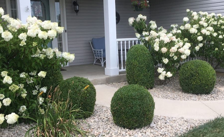 Bush Trimming In Toledo