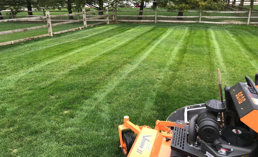 Sample Of Our Lawn Care Services