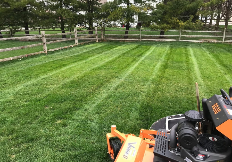Nice Lawned Area