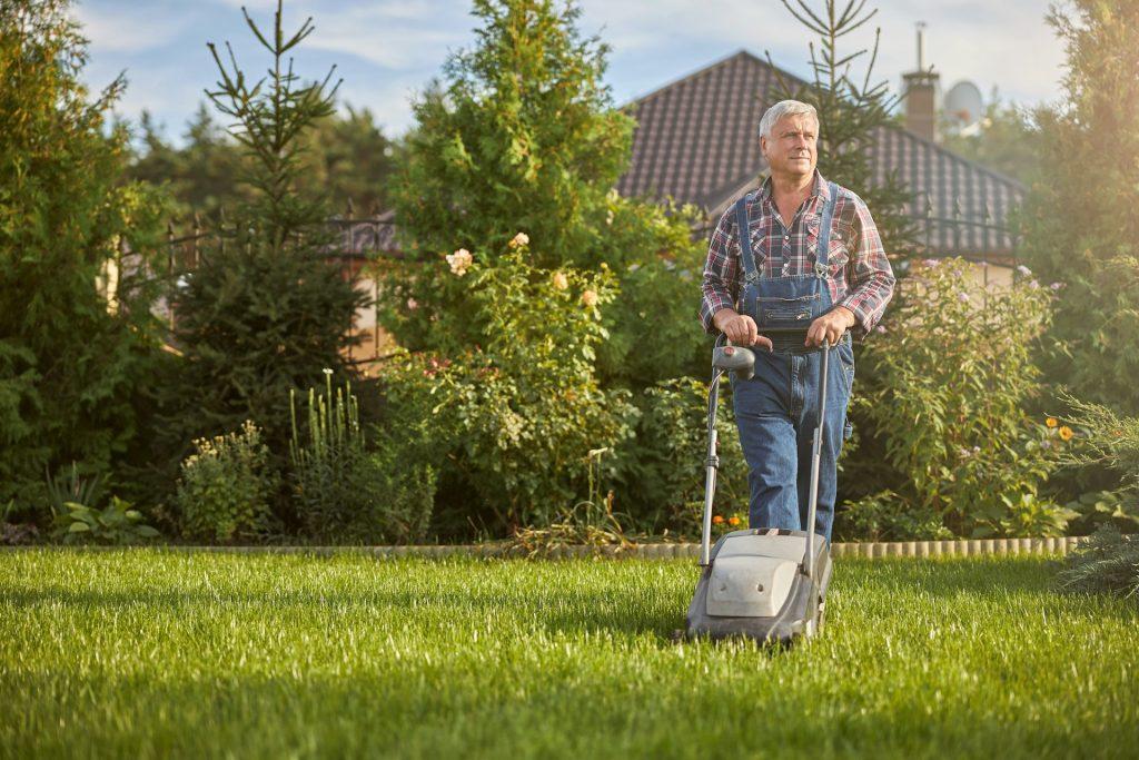 Lawn Care