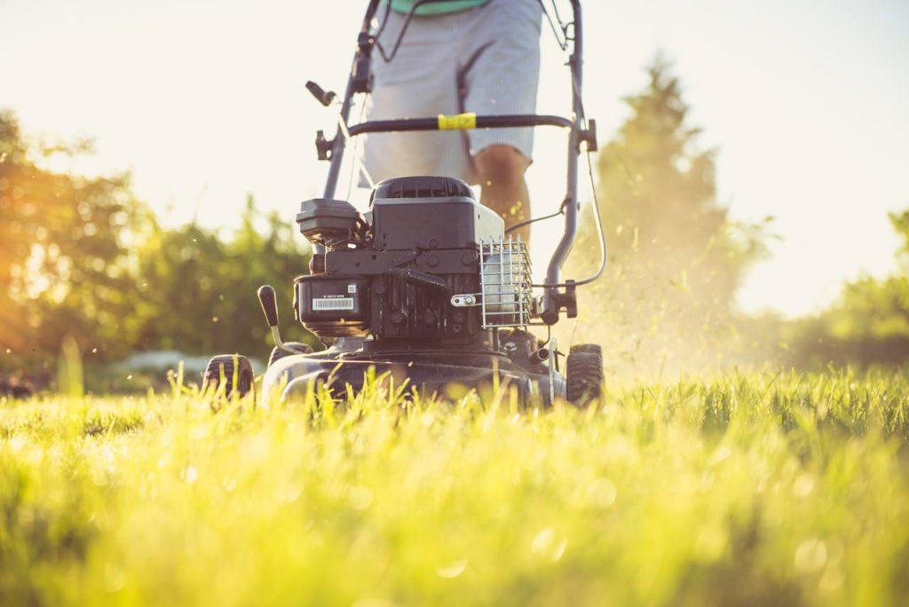 Lawn Mowing