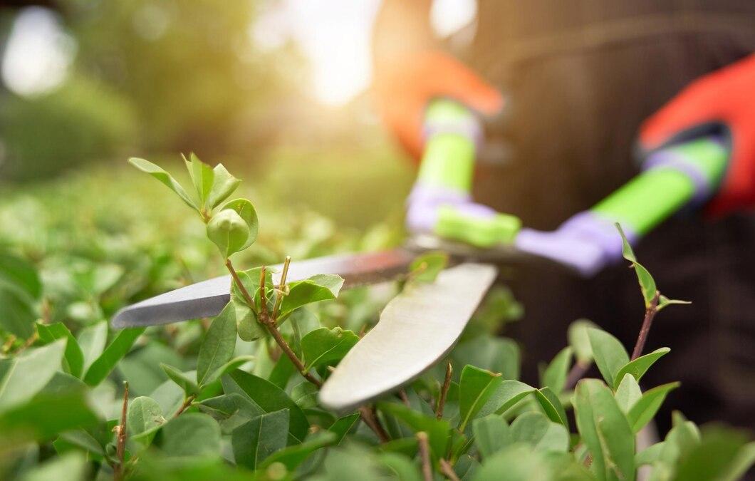 Bush Trimming