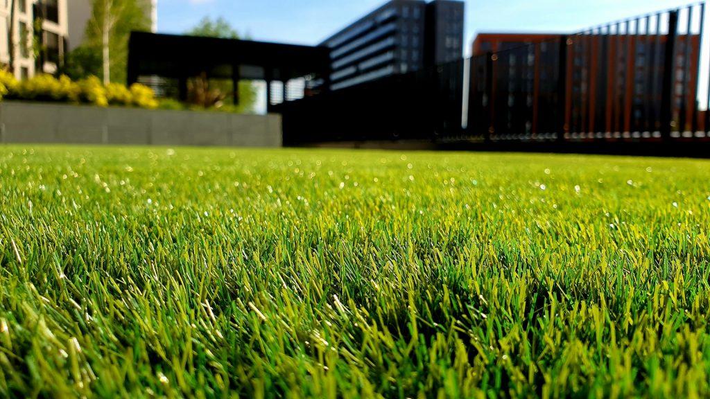 Lawn
