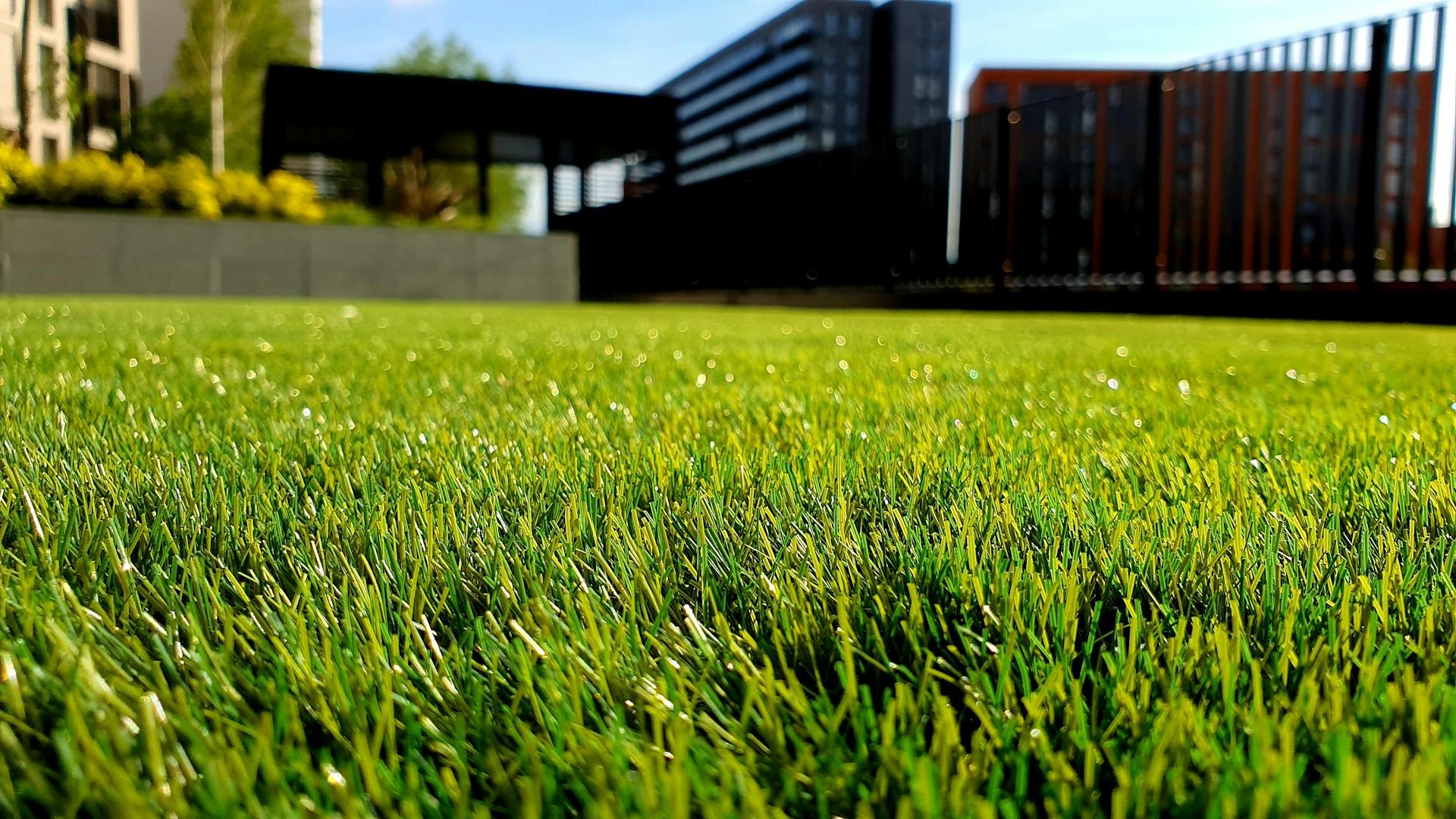 Lawn