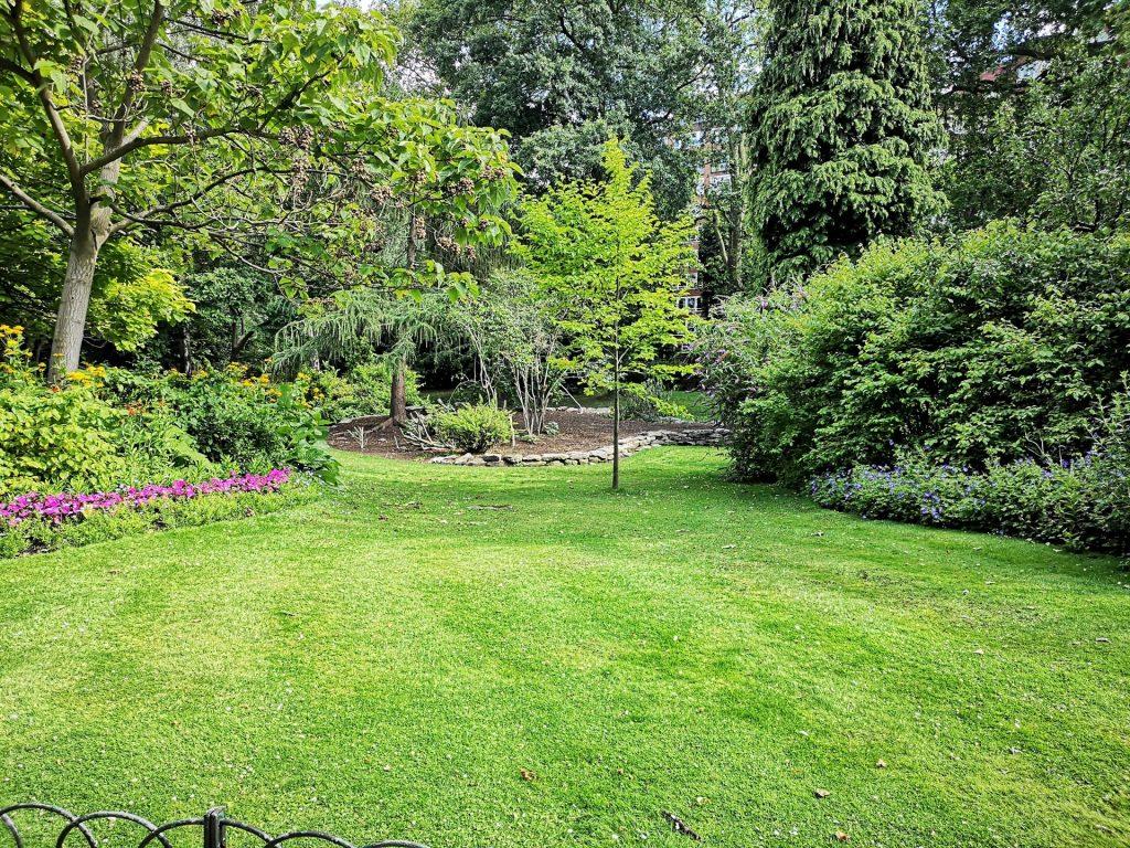 Backyard Landscaping Solutions