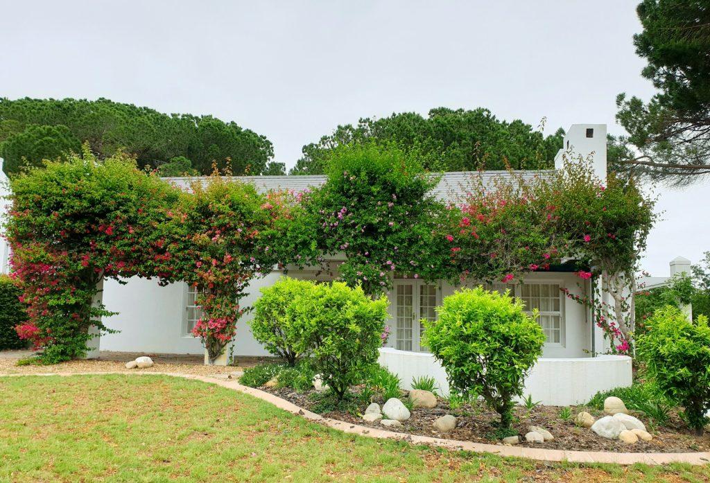 Garden Bed Borders