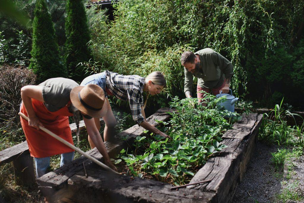 Fix Mulch Retention Issues in Toledo Gardens