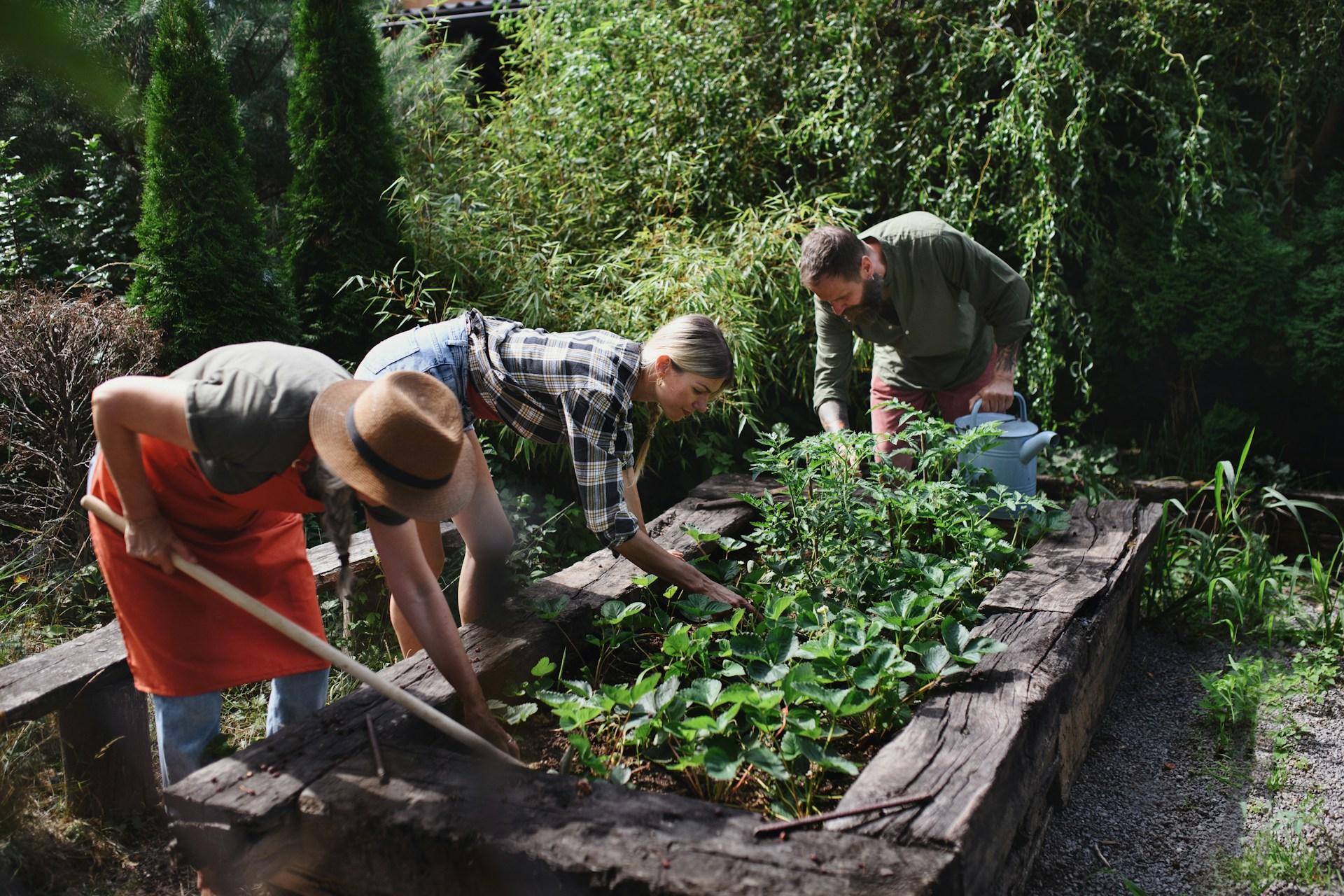 Fix Mulch Retention Issues in Toledo Gardens