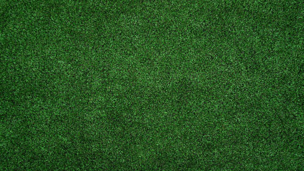 Lawn